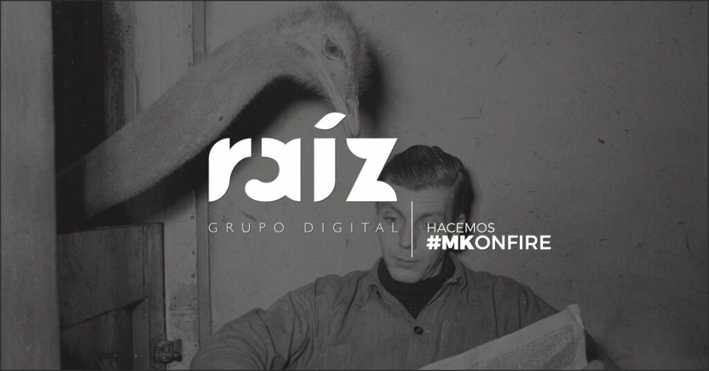Grupo Raíz Digital